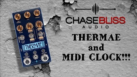 Chase Bliss Audio THERMAE and MIDI CLOCK, awesome!!! - Alfonso Corace