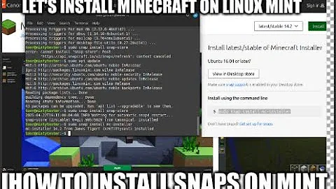 QUICKTIPS: Install SNAP on Linux MINT EASY!
