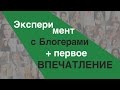 Социальный эксперимент с Девушками-Блогерами!