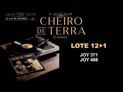 LOTE 12+1   JOY 371, JOY 468