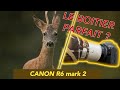 Canon r6 mark 2 estil si bon  canon wildlife