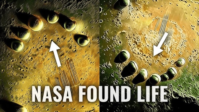 NASA Detects Alien Civilization on Proxima B – Confirmed by Signal