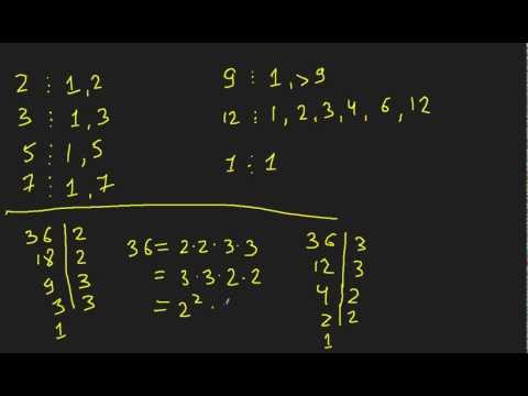 Kampus.kz: Математика. Урок 2 - Числа: Простые числа.