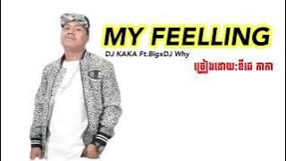 My Feeling DJ KAKAxDj Why Ft.Big(ពេលដែរអូនដេីរលេីឆ្នេរបងឃេីញអូនសម្រស់មាសស្ងួនអូនស្អាតជាងគេ)