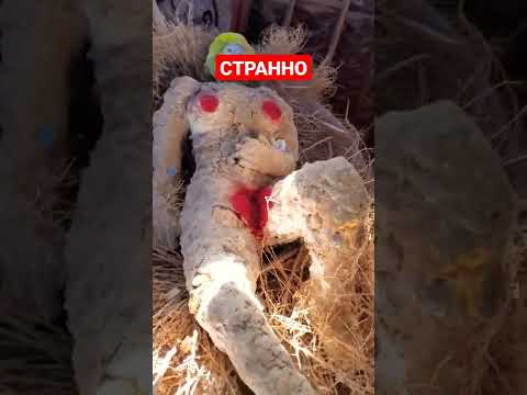 Видео: Потайные проходы и переулки средневекового Йорка