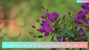 الاية ٤ من سورة الحشر مكرره ٥مرات للإتقان بصوت الشيخ ايمن سويد 