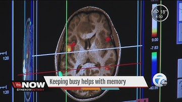 Study links busy schedules to better cognitive function