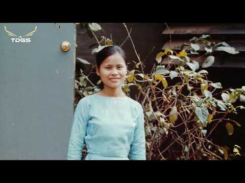Video GÕ CỬA, TÌNH CỜ | Mạnh Quỳnh, Y Vân | Thanh Tuyền, Mỹ... - youtube