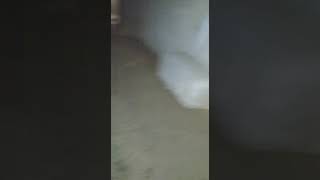 Underground tunnel-Downtown St.l Missouri.