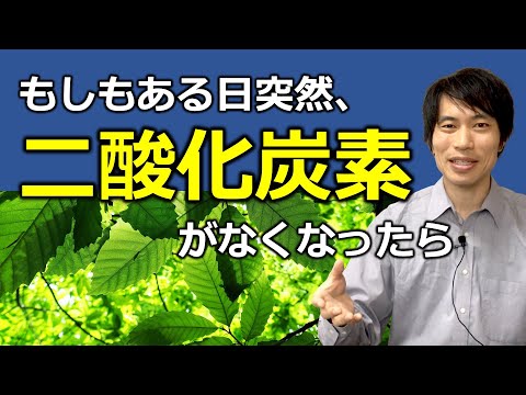 もしもある日突然、二酸化炭素がなくなったら