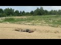 6 августа 2025 г.
