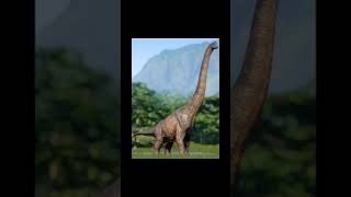 “What really killed the dinosaurs? 🌍🔥 #ExtinctionMystery”#ancientcreatures #dinosaur