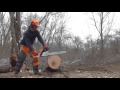 Stihl 362 vs 261 vs 241