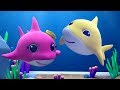 Baby Shark Song | Shark Song | Kids Songs For Children | Nursery Rhymes