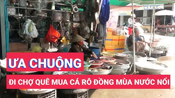 Đi chợ quê mua cá rô đồng đầu mùa nước nổi