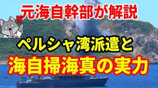 【元海上自衛隊幹部が解説】海自掃海の真の実力【ペルシャ湾機雷掃海】