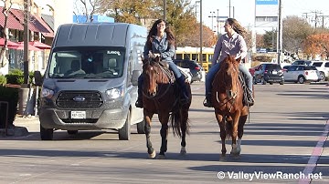 Jack Cee Vintage and Hez Radically Sheik - riding in town! - ValleyViewRanch.net