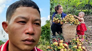 Harvesting lychees to sell at the market - And Chuong's plan to work far away