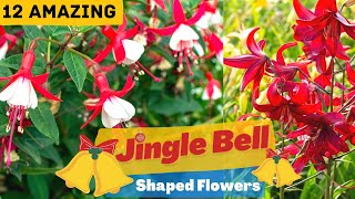 12 Amazing Jingle Bell Shaped Flowers