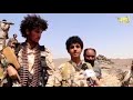 شبل القفر يلقي قصيده بعد تحرير جبل رشاحة مع ابطال للواء التحرير شبل القفر يلقي قصيده بعد تحرير جبل رشاحة مع ابطال للواء التحرير