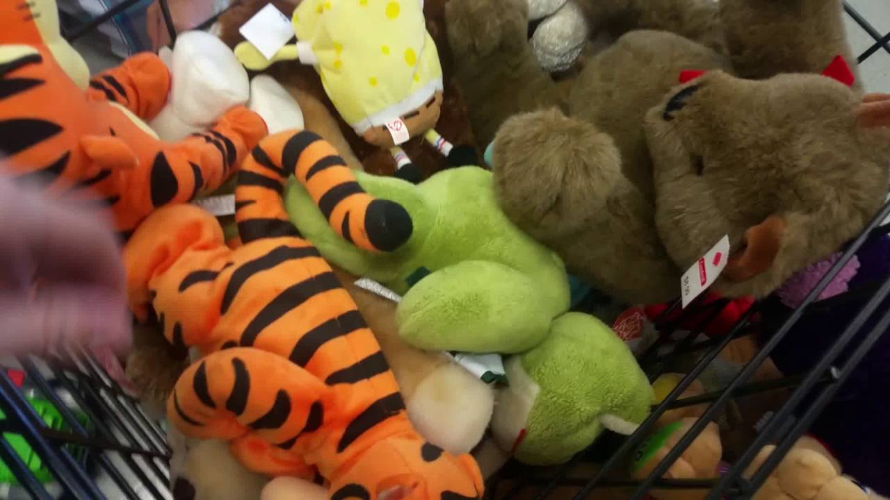 Me and Zorua635's thrift shopping adventure and kmart