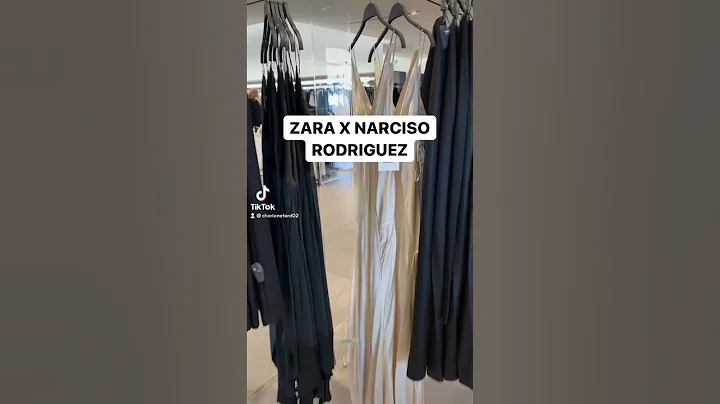 The ONLY dress you NEED from Zara!!  NARCISO RODRI...