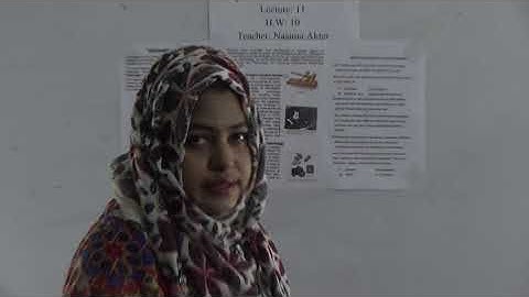 Class: Four, Subject: Elementary Science (Lecture-11, H.W: 10), Topic: Information in Our Life