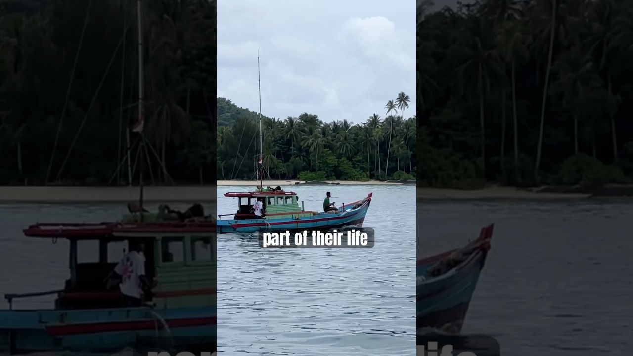 ⁣A Village That Lives With The Sea 🌊#sailing #indonesia #travel #islandlife