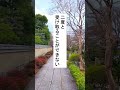 期限を過ぎると失効する1人5万の生活支援