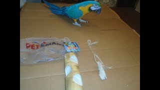 New Toy For My Blue And Gold Macaw