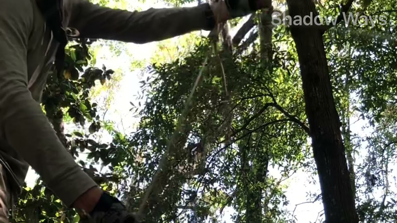 Тренинг в лесу I Кагинава I Верхолазание I Крюк и Веревка I Синоби Дзюцу