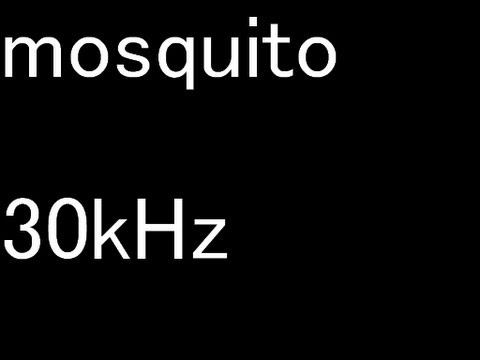 モスキート音 30khz コウモリに挑戦 Mosquito 30khz Youtube