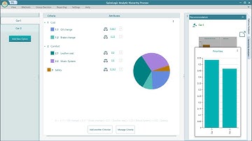 Managing options in the SpiceLogic Analytic Hierarchy Process software