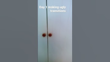 Day one of making ugly transitions