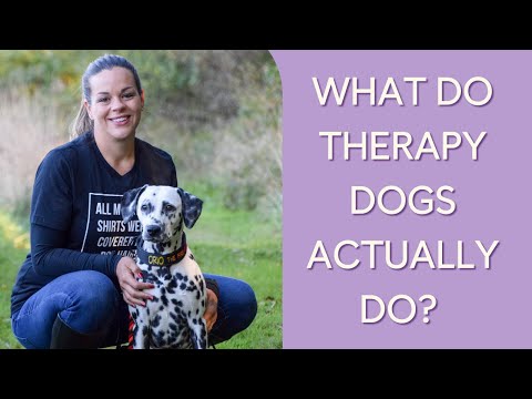 What Do Therapy Dogs Actually Do? An Interview with Monica Callahan (10+ Years of Therapy Dog Work)