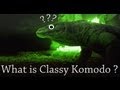 What is classy komodo