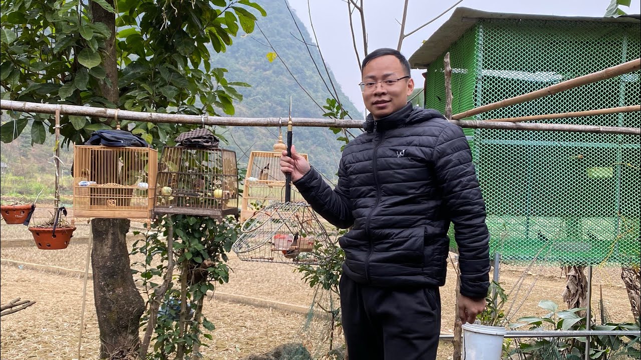 ĐI 80km TUYỂN CHÀO MÀO MỒI CỨNG BẤT NGỜ GẶP BỔI MƠ LƯNG LÂN TÊ