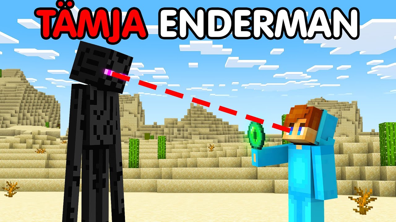 Bryter 100 Minecraft Lagar På 24 Timmar!