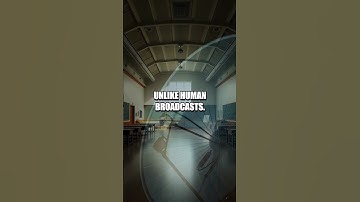 The Wow Signal Enigma