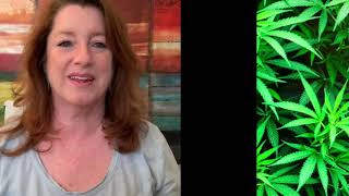 CBD Basics