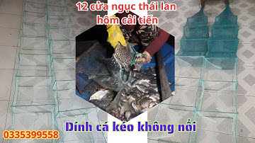 1 cửa ngục - lú thái lan hôm cải tiến 23 x 37, Lưới trắng , khung đánh biển. Dính cá kéo không nổi