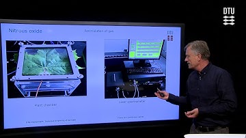 Plants and Greenhouse Gasses - New Unaccounted Plant Sources