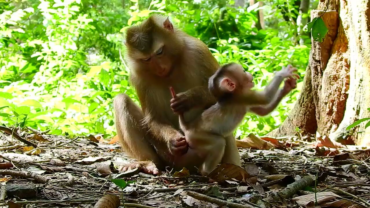 Mother take care baby every day