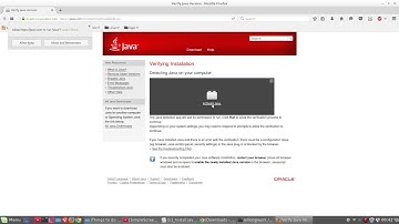 11. Install Java - Things to Do After Linux Mint 18 Installation