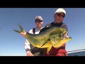 Catching Light Tackle Mahi!