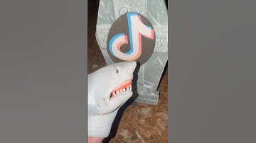 Shark Puppet buries tiktok