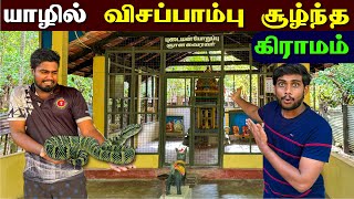 🔴 யாழில் புடையன் பாம்பால் உருவாக்கப்பட்ட கிராமமா??😮 | Jaffna Village Tour | Jaffna Thanush