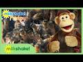 Bees & Honey with Milkshake! Monkey 🐵 🍯🐝 | Milkshake!