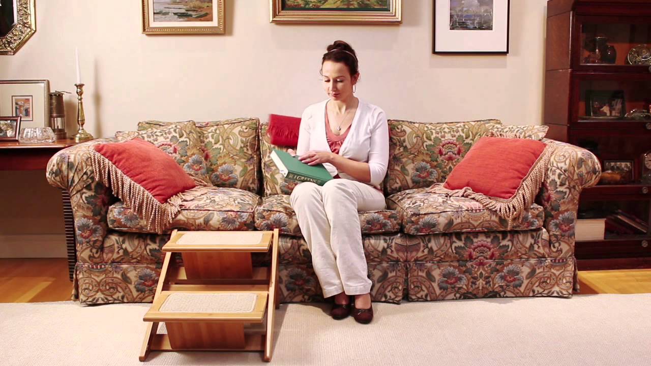 pet studio rampsteps