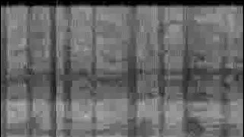 سورة الإنسان هي سورة مدنية، من المفصل، آياتها 31، وترتيبها في المصحف 76، في الجزء التاسع والعشرين،